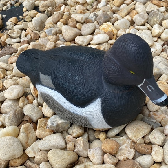 Vintage Life Sized Ring-Necked Duck Drake Decoy. Artist carved & texturized 2003 - Picture 13 of 13